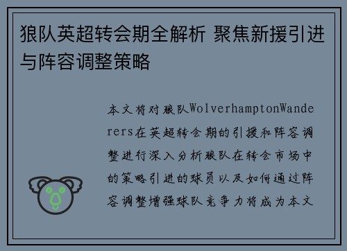 狼队英超转会期全解析 聚焦新援引进与阵容调整策略